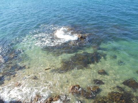 54への道（瀬戸内海２）