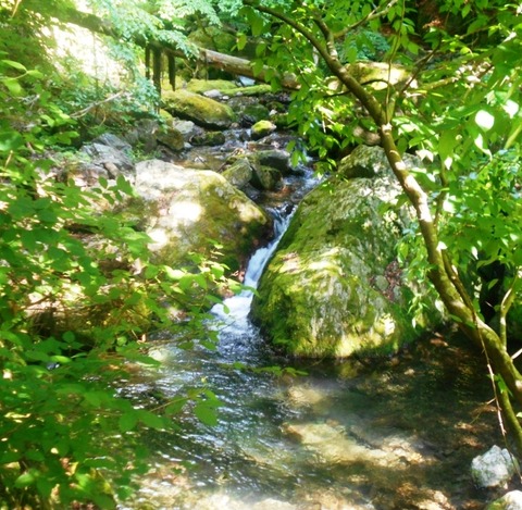 DSCN5089
