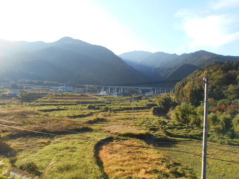 新居浜市関の戸（松山自動車道）