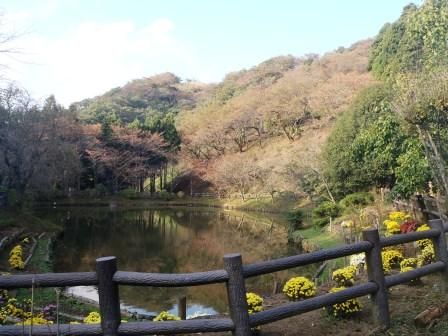 高松山 030