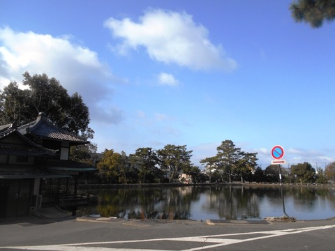 DSCN7109
