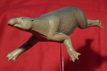 パレオパラドキシア復元模型