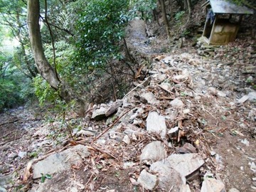 台風後の焼山寺道