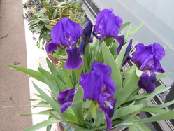 DSCN4841