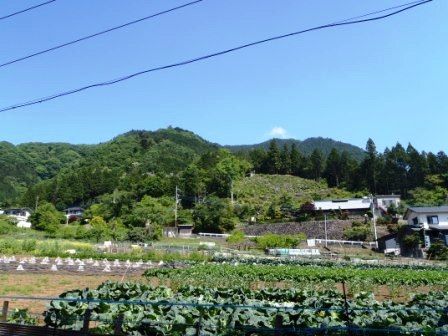 不老山 005