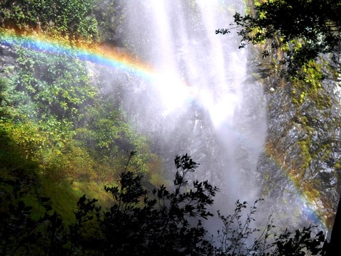 滝にかかる虹