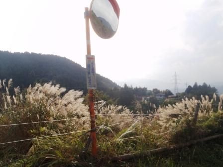 高松山 027