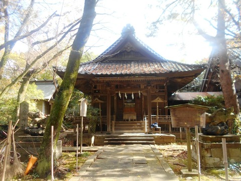 DSCN4056