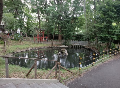 MVIMG_20240630_155830~2