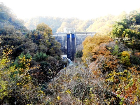 別格20番大瀧寺内場ダム２