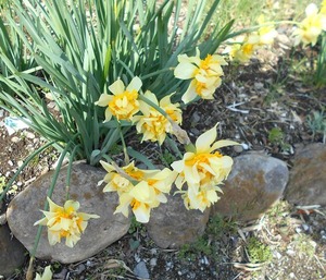 DSCN8263