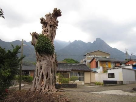 2012年3月屋久島&九州旅行 044
