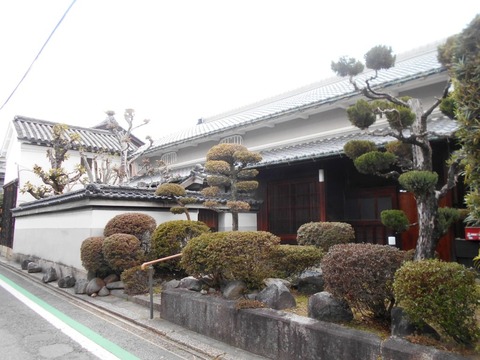 DSCN8169