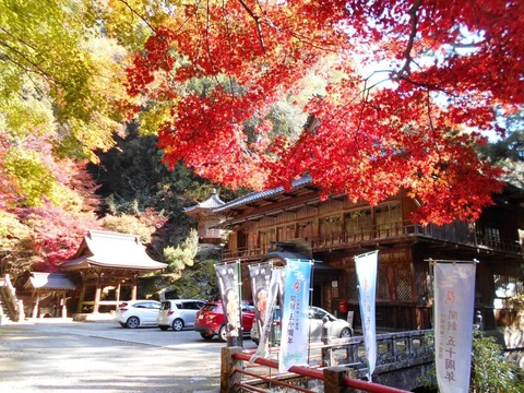 別格13番仙龍寺５