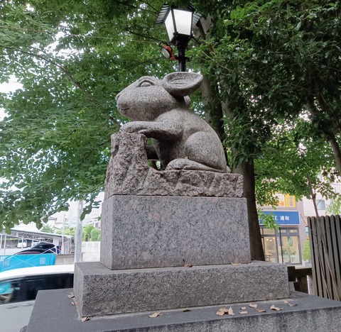 MVIMG_20240630_161245~2