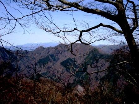 鶴ガ鳥屋山20130404 012