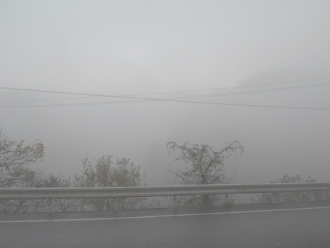 別格20への道（朝霧）