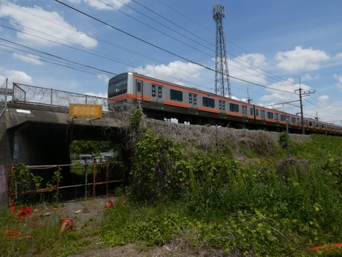 34397772_s