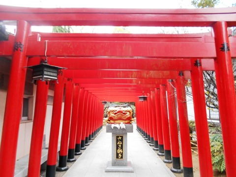 田村神社赤鳥居が並ぶ