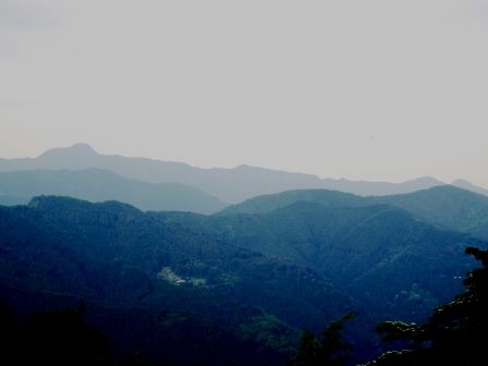 三頭山20150520 031