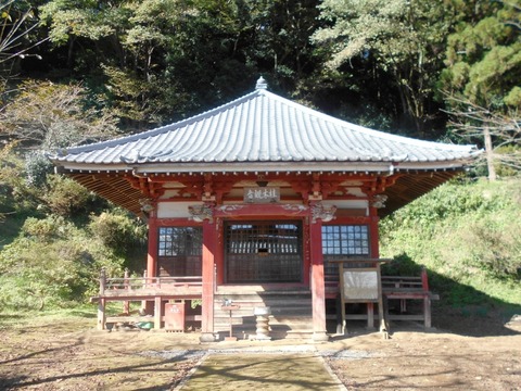 DSCN4503