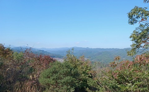 IMG_20241104_115533