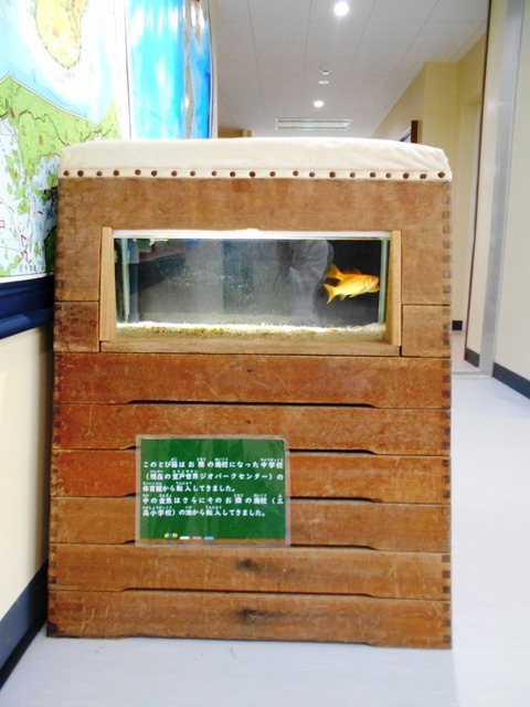 ２４番への道（室戸水族館２）