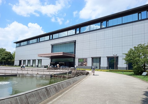 IMG_20240801_124040~3