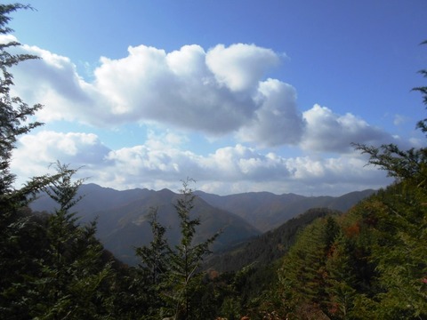 別格20番大瀧寺下山道１