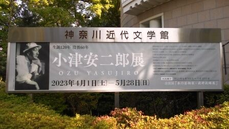 DSCN6049