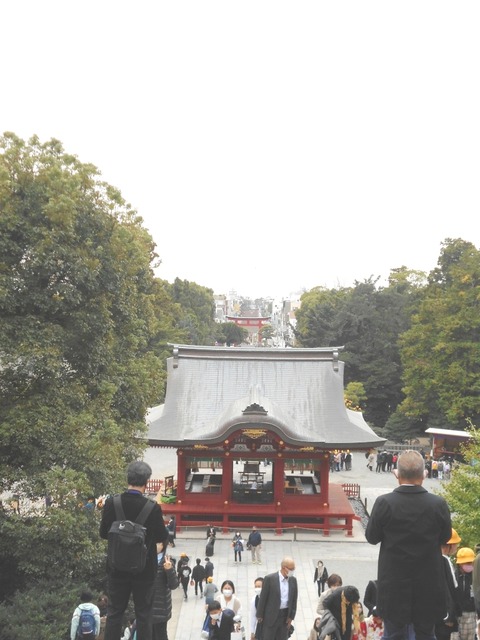 DSCN5519