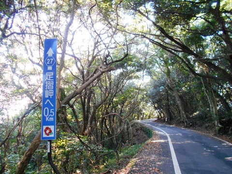 ３８番への道（足摺岬へ０.5キロ）