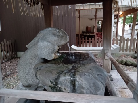 MVIMG_20240630_161103