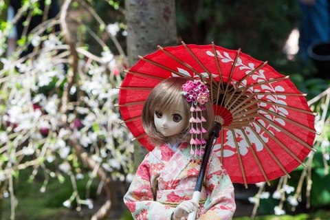 flower-3346312_1920
