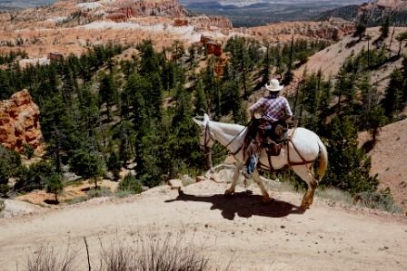 bryce-canyon-943445_960_720