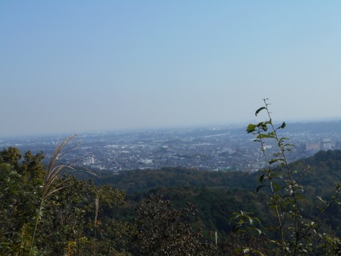 DSCN6977