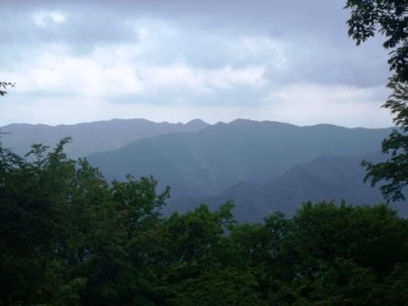 三頭山20150520 027