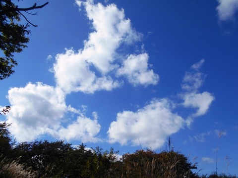 DSCN6933