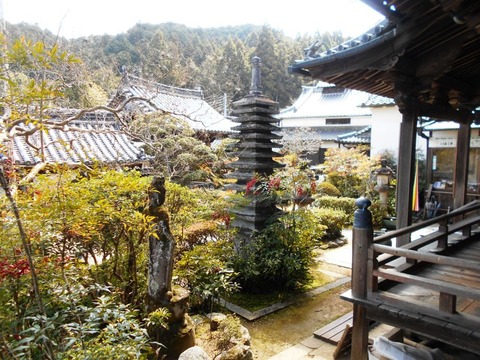DSCN8192