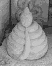 IMG_20191207_210157