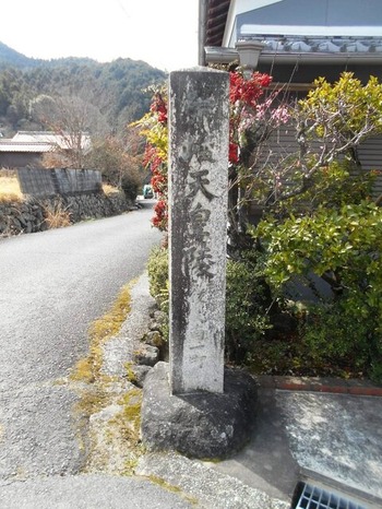 DSCN8183