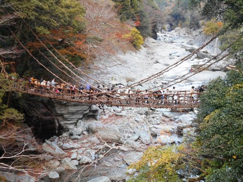 そやのかづら橋