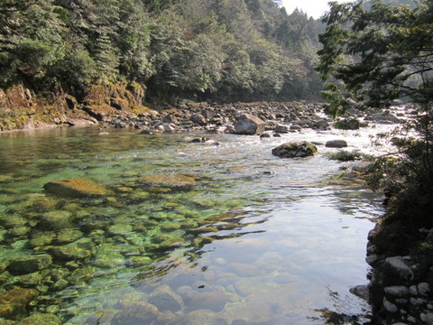 ２０１２年３月屋久島＆九州旅行 011