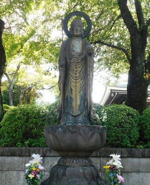 DSCN6807