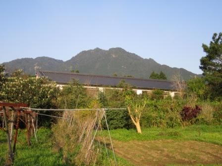 ２０１２年３月屋久島＆九州旅行 021