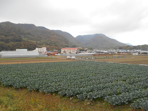 本山寺付近