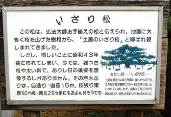 別格12番延命寺いざり松2