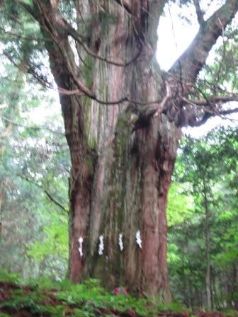 釈迦ガ岳 014
