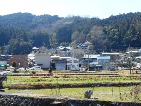 DSCN8195