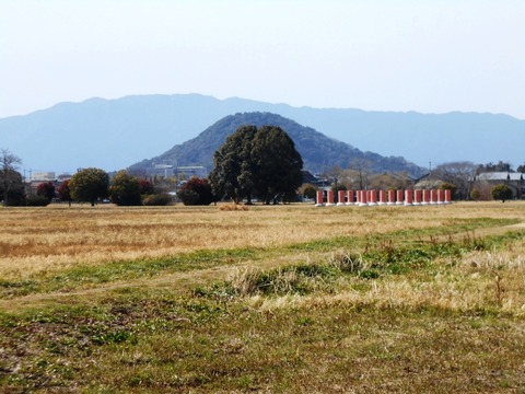 DSCN7139